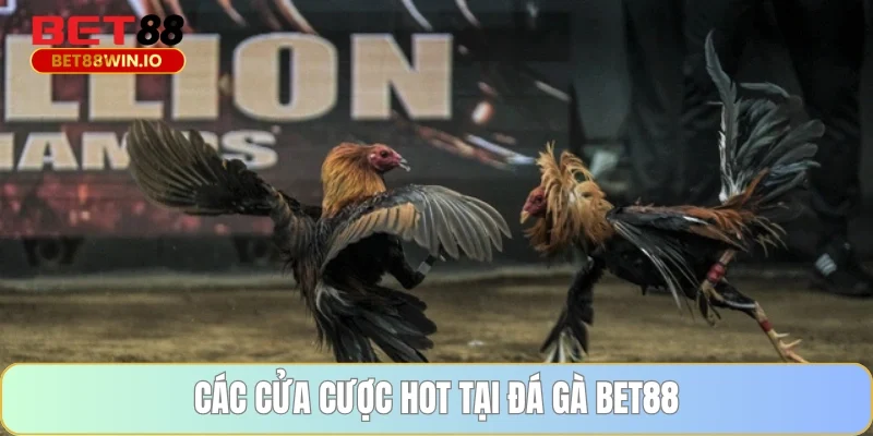 Các cửa cược hot tại Đá gà BET88