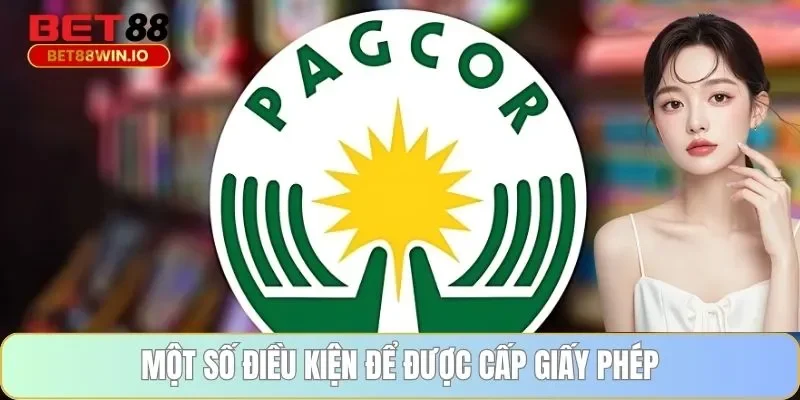 Một số điều kiện để được cấp giấy phép