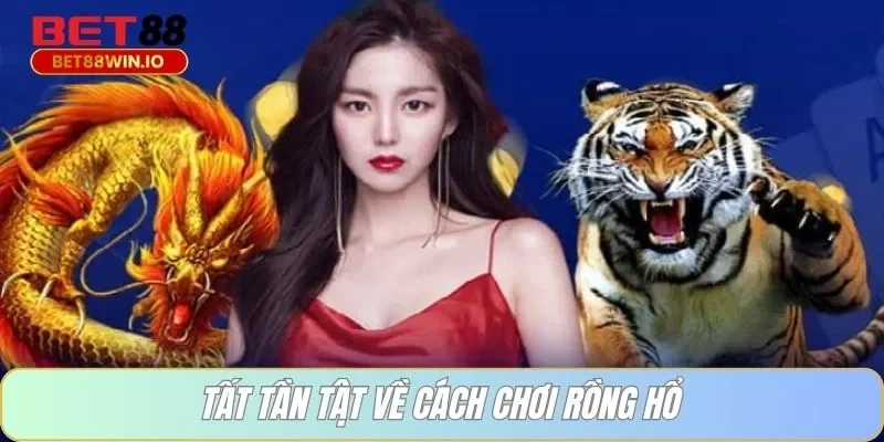 Tất tần tật về cách chơi rồng hổ Tất tần tật về cách chơi rồng hổ